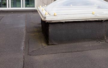 disadvantages of Rigsby flat roofs